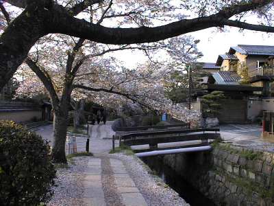 The Philosopher's Walk in Kyoto